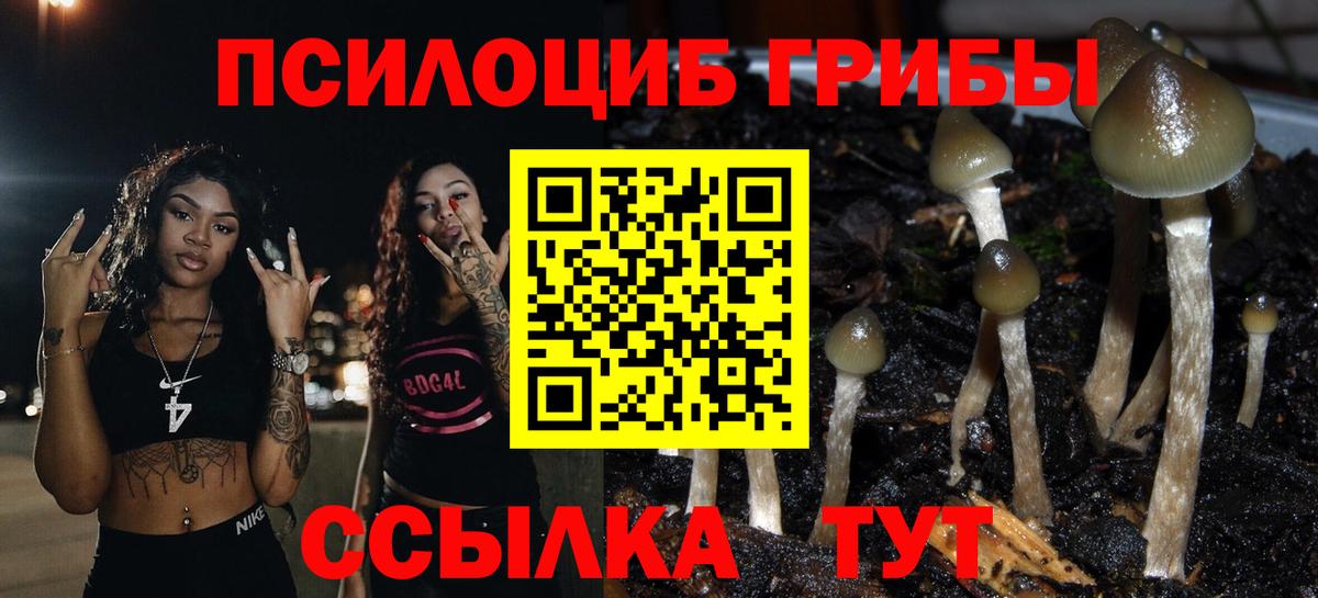 Псилоцибиновые грибы мицелий  Галлюциногенные грибы Psilocybine cubensis  Вход с VPN  Зима 