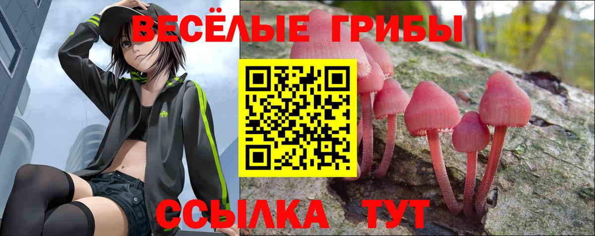 Псилоцибиновые грибы MAGIC MUSHROOMS Зима